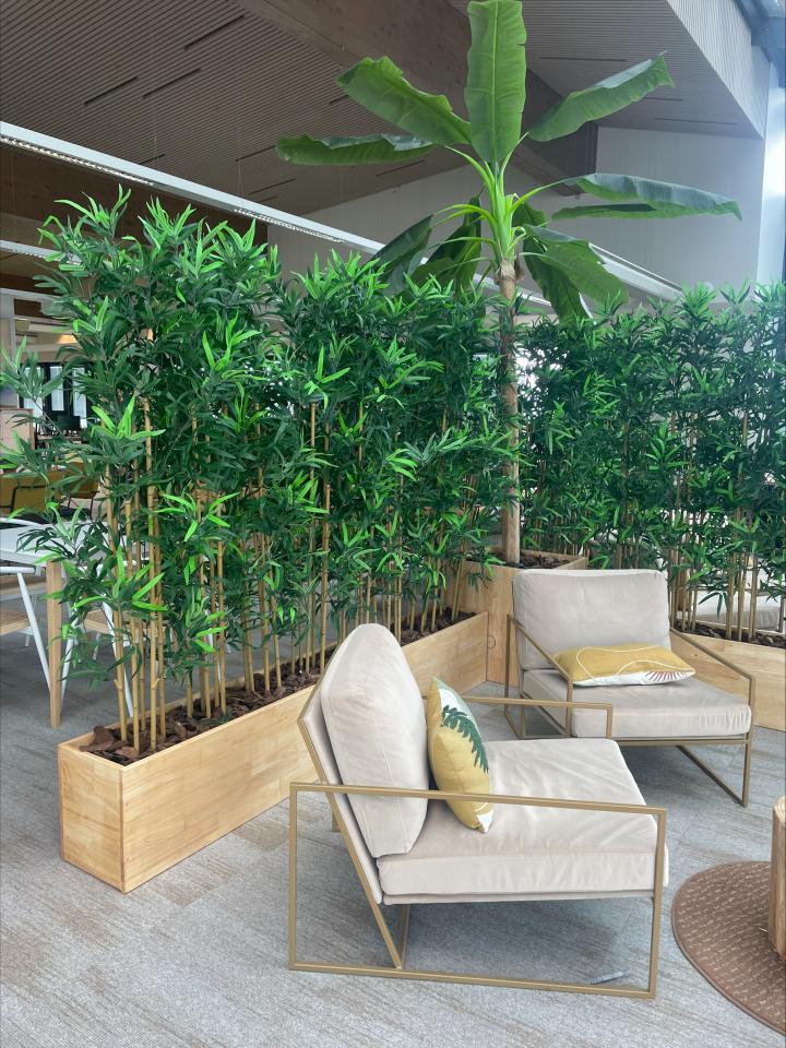 Bureau Lyon 1735m² Location bureau Lyon Rhône OLBUR2202122 31